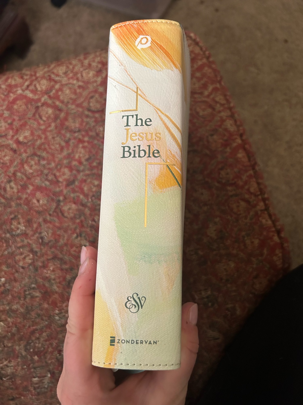 The Jesus Bible in pastel - Picture 2 of 3